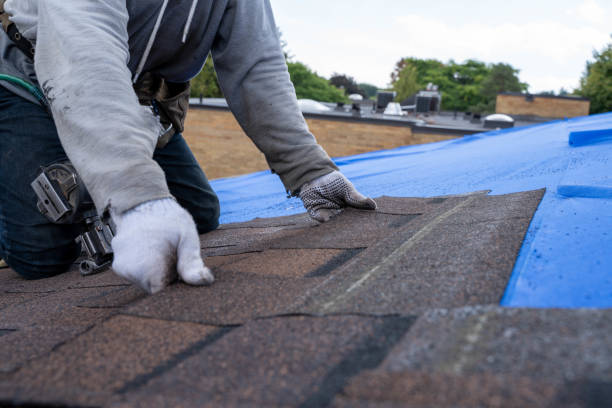 Quick and Trustworthy Emergency Roof Repair Services in Pine Lawn, MO